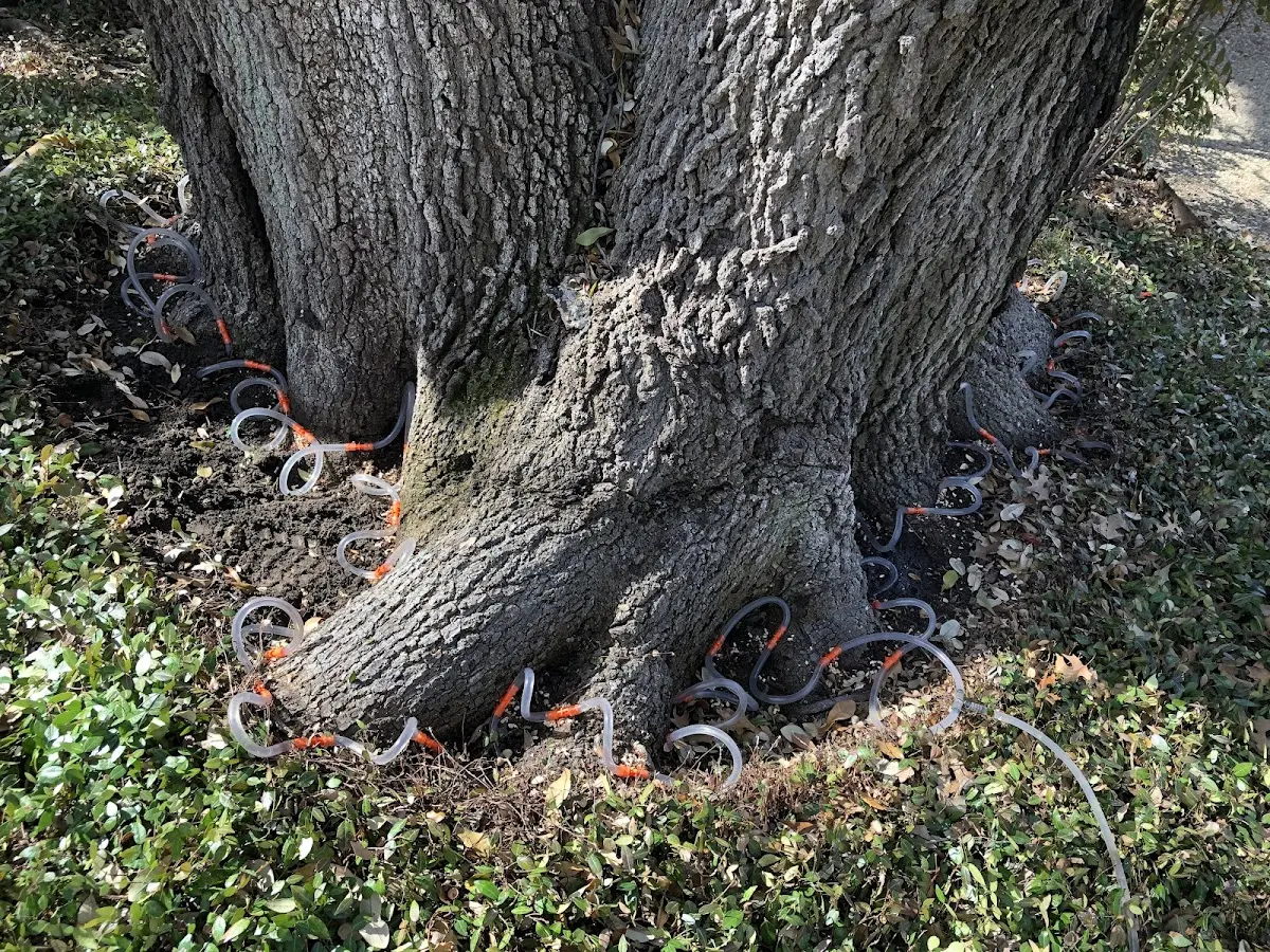 Detailed Shrub and Hedge Trimming job site in Long Grove